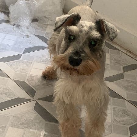 Foto de Bob