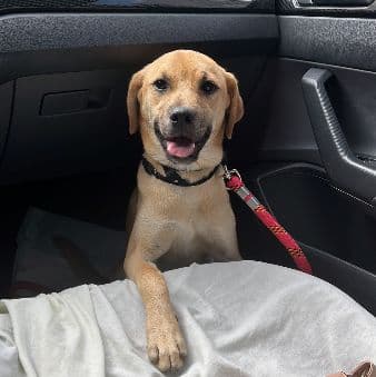 Foto de Bob
