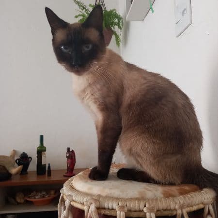 Foto de Bjorne Biorne