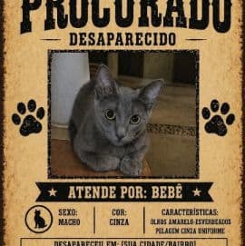 Foto de Bebe