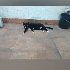 Foto de Miuxa