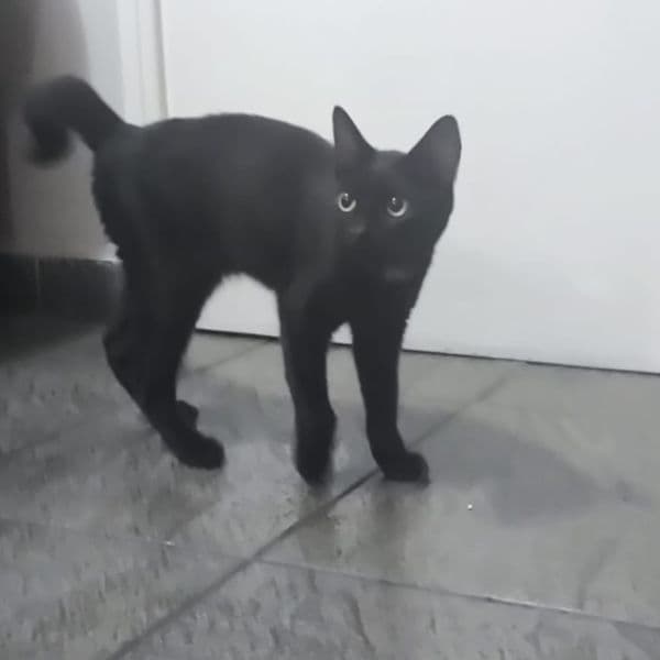 Foto de Marcelo