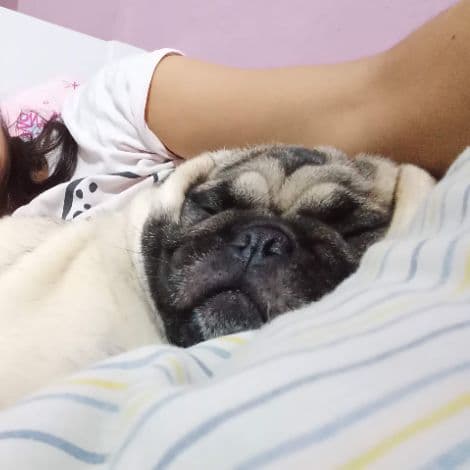 Foto de Broniwe