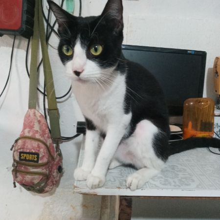 Foto de Chico
