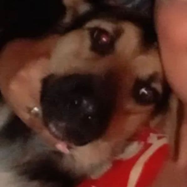 Foto de Suzi