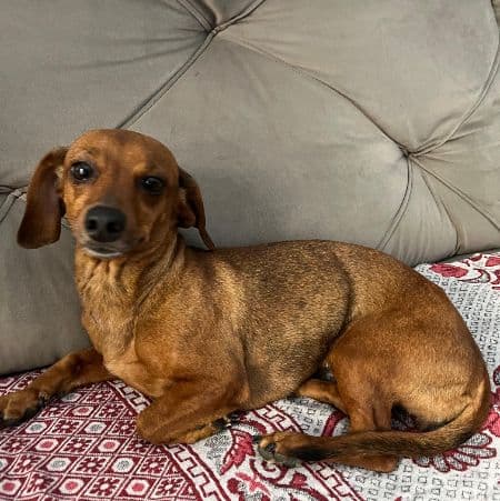 Foto de Nina