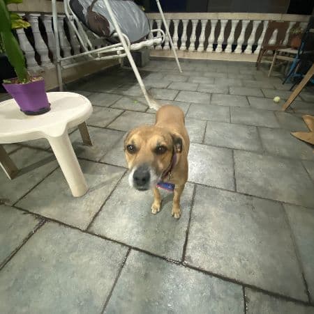 Foto de Tomy