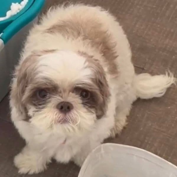 Foto de Ruany Santos