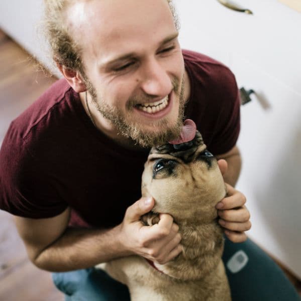 Dia do Cachorro: 10 sinais de que seu cachorro te ama (e é feliz ao seu lado)